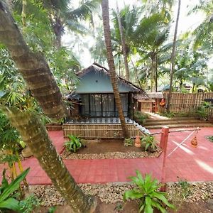 Palm Trees Ayurvedic Heritage